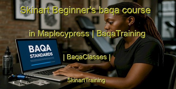 Skinart Beginner's baqa course in Maplecypress | BaqaTraining | BaqaClasses | SkinartTraining-United States